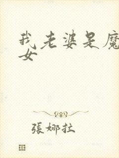 我老婆是魔法少女