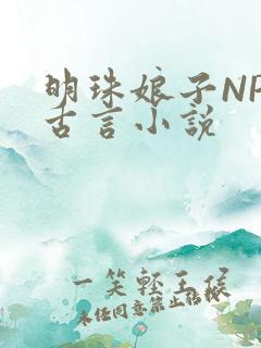 明珠娘子NPC古言小说