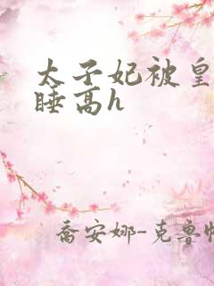 太子妃被皇上强睡高h