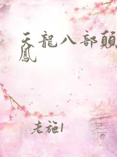天龙八部颠龙鸾凤