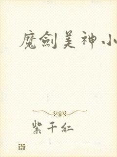 魔剑美神小说