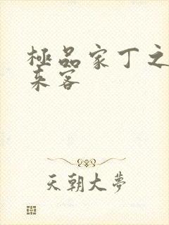 极品家丁之远方来客