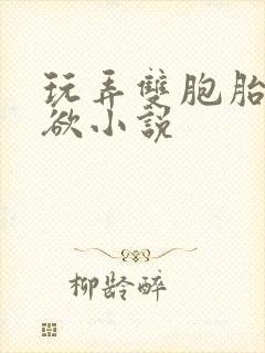 玩弄双胞胎的肉欲小说