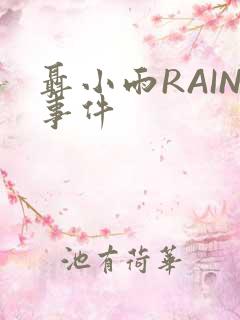 聂小雨RAIN事件