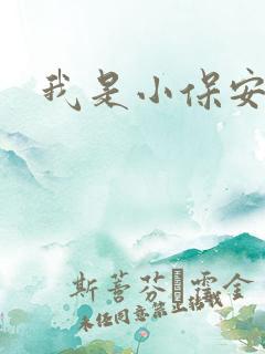 我是小保安