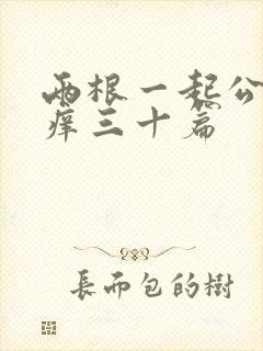 两根一起公憩止痒三十篇