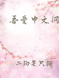 吾爱中文网