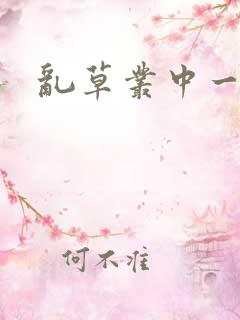 乱草丛中一杆枪