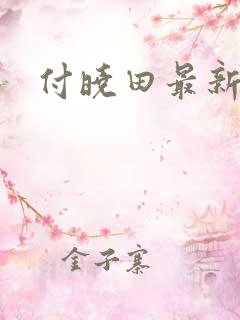 付晓田最新消息