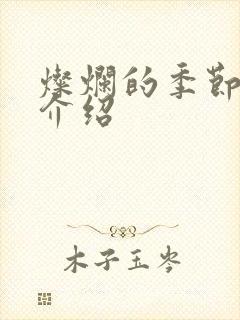 灿烂的季节剧情介绍