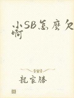 小SB怎么欠C啊