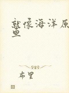 就像海洋原谅了鱼