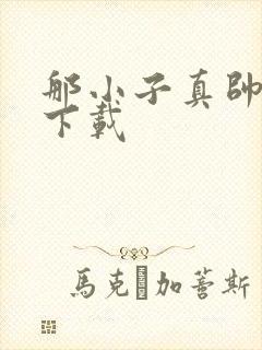 那小子真帅小说下载