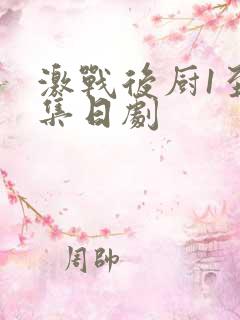 激战后厨1至5集日剧