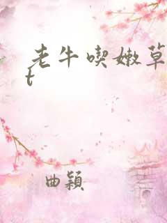 老牛吃嫩草txt