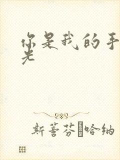 你是我的手冢国光