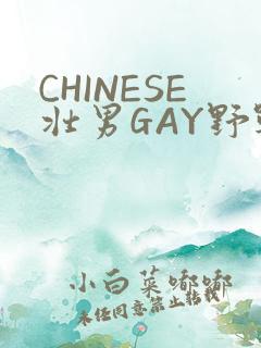 CHINESE壮男GAY野战强迫TUBE