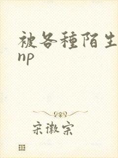 被各种陌生人 np