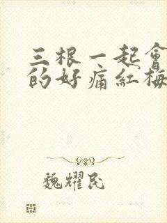 三根一起会坏掉的好痛红梅