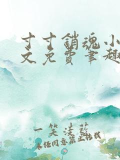 寸寸销魂小说全文免费笔趣阁