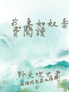 我妻如奴番外免费阅读