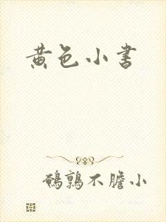 黄色小书