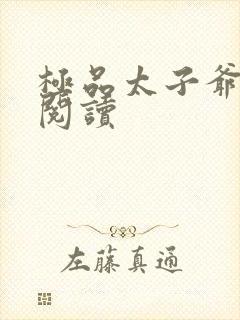 极品太子爷全文阅读