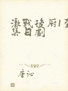 激战后厨1至5集日剧