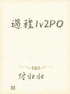 过程1v2PO