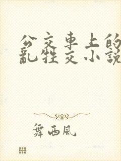 公交车上的疯狂乱牲交小说