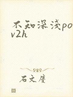 不知深浅po1v2h
