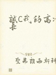 诚C我的高冷学长