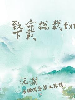 致命总裁txt下载