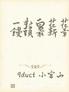 一对白花花的大馒头最新章节