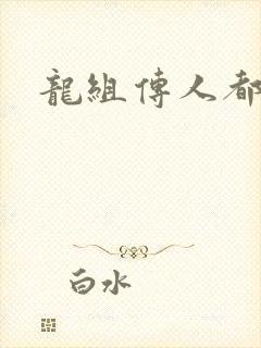 龙组传人都市行