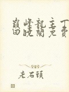 巅峰龙主丁长顺田晓兰免费阅读