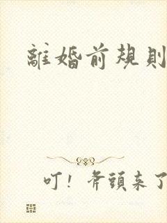 离婚前规则小说