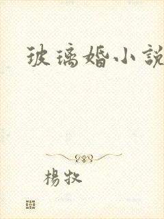 玻璃婚小说