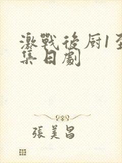 激战后厨1至5集日剧