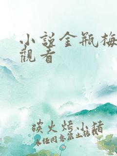 小说金瓶梅在线观看