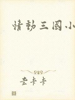 情动三国小说