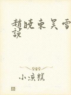 赵晓东吴雪晴小说