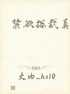 禁欲总裁真能干