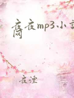 夜夜mp3小说网