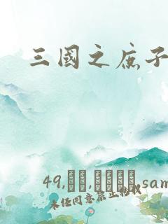 三国之庶子称雄