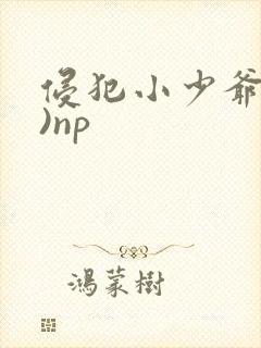 侵犯小少爷(H)np