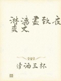 淋漓尽致夜晚小爽文