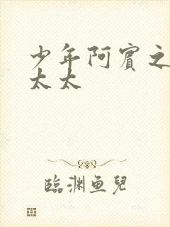 少年阿宾之房东太太