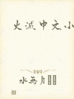 火灭中文小说