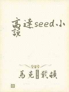 高达seed小说
